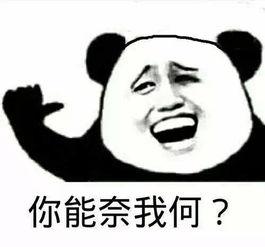 表情包得俊,得俊风采独领风骚