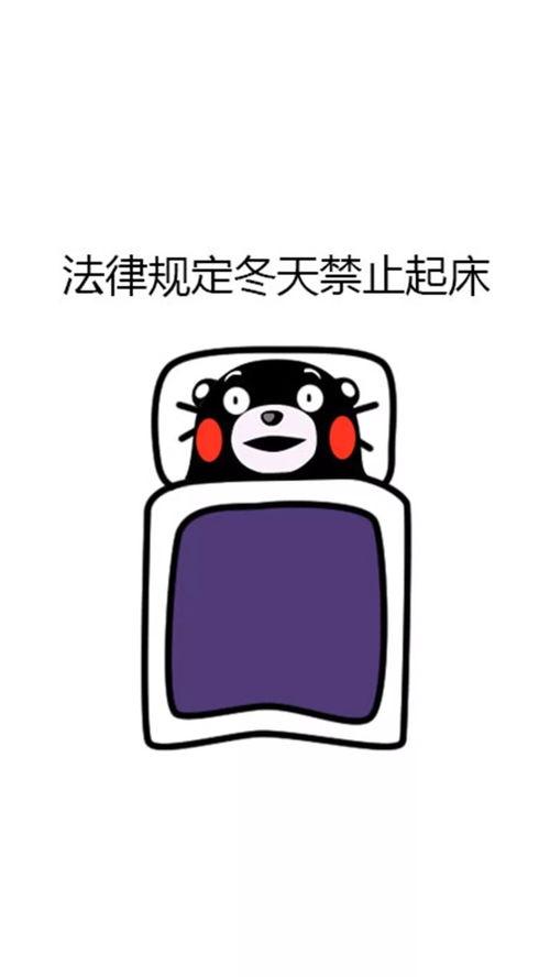 暖被窝的图片,冬日里的温馨守护，家的温暖瞬间呈现”